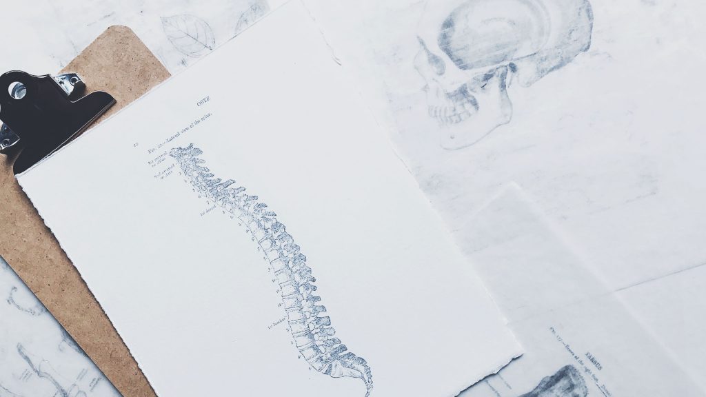 A clipboard holds a piece of paper displaying an anatomical drawing of a human spine. The background features faint sketches of human skulls and other anatomical illustrations. The image has a clinical and educational feel.